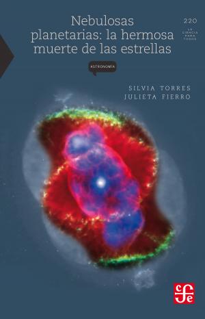 Cover of the book Nebulosas planetarias by Vicente Leñero