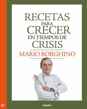 Cover of the book Recetas para crecer en tiempos de crisis by Norma Lazo