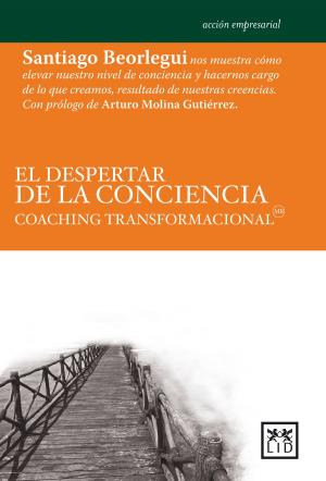 Cover of the book El despertar de la conciencia by Mercedes Fernández-Paradas