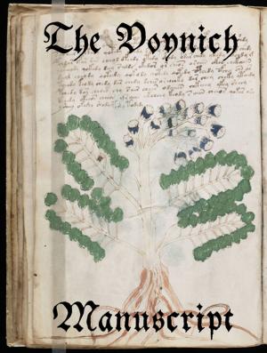 Cover of the book The Voynich Manuscript by J. Allan Dunn