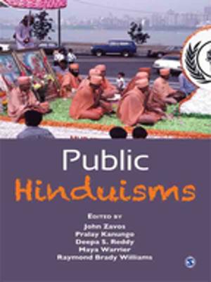 Cover of the book Public Hinduisms by Professor Dave Mearns, Professor Mick Cooper