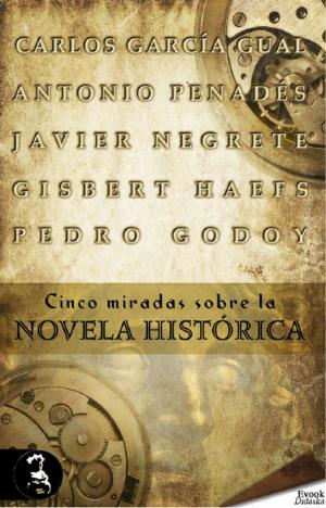 Cover of the book Cinco miradas sobre la novela histórica by Víctor Claudín