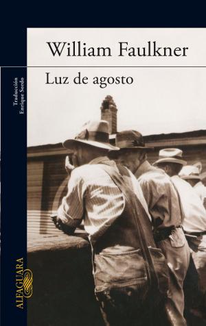 Cover of the book Luz de agosto by Begoña Oro, Cuchu