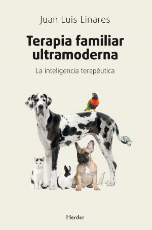 Cover of the book Terapia familiar ultramoderna by Varios Autores