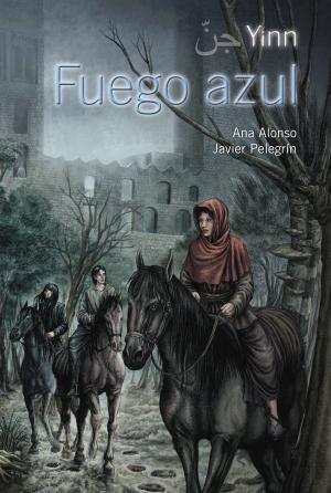 Cover of the book Yinn. Fuego azul by Vicente Muñoz Puelles