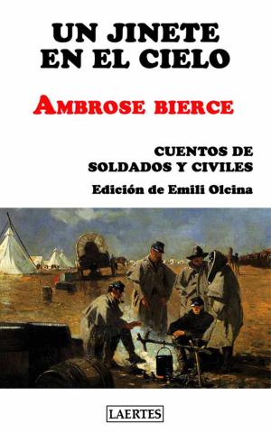 Book cover of Jinete en el cielo, Un