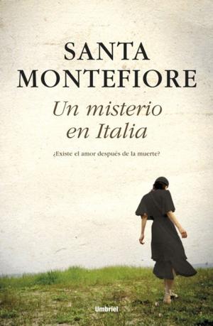 Cover of the book Un misterio en Italia by Clive Cussler, Jack Du Brul