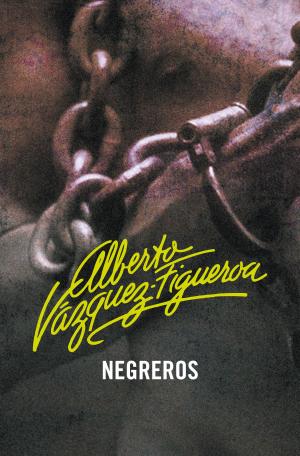 Cover of the book Negreros (Piratas 2) by Burt Candy