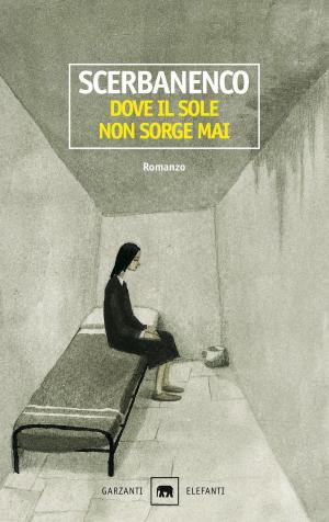 Book cover of Dove il sole non sorge mai