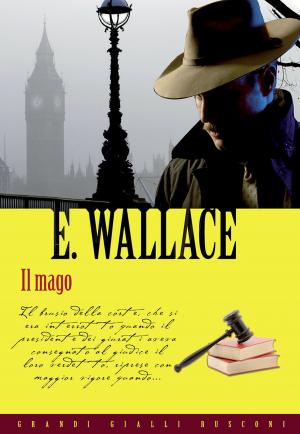 Cover of the book Il mago by Ellery Queen