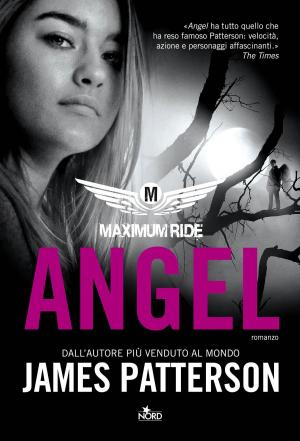 Cover of Maximum Ride: Angel