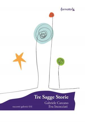 Cover of Tre sagge storie