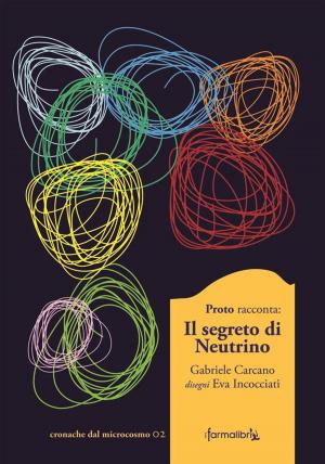 Cover of the book Il Segreto di Neutrino by Nakata Hitoshi