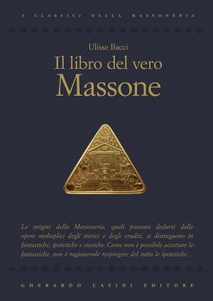 Cover of the book Il libro del vero massone by Gabriel STEINMETZ
