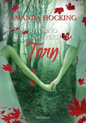Cover of the book Torn by Joshua Idemudia-Silva