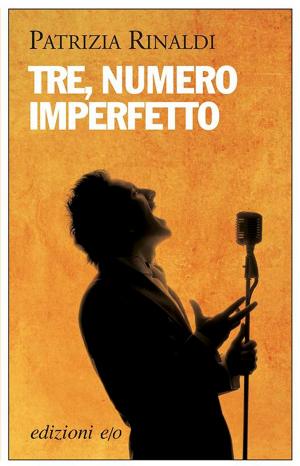 Cover of the book Tre, numero imperfetto by Robert Mayer