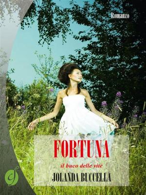 Cover of the book Fortuna, il buco delle vite by Antonella Zucchini