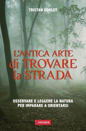Cover of the book L'antica arte di trovare la strada by Mimma Pallavicini