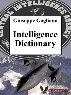 Book cover of Intelligence dictionary