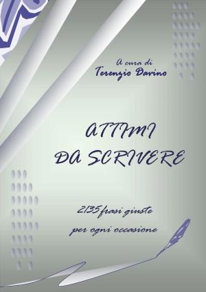 Cover of the book Attimi da Scrivere by Stuart Cohen
