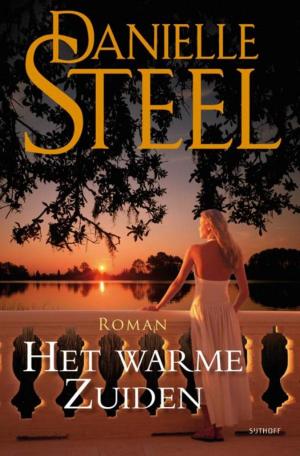 Cover of the book Het warme zuiden by Danielle Steel