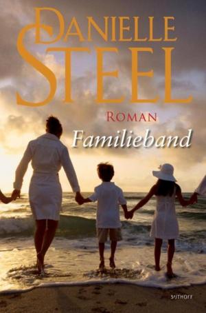 Cover of the book Familieband by Jonathan Stroud