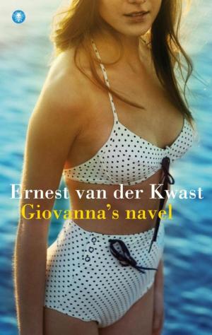 Cover of the book Giovanna's navel by Erik Valeur