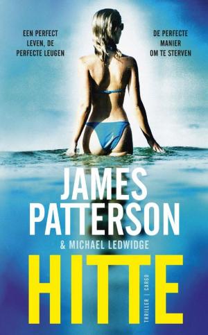 Cover of the book Hitte by Michael Robotham