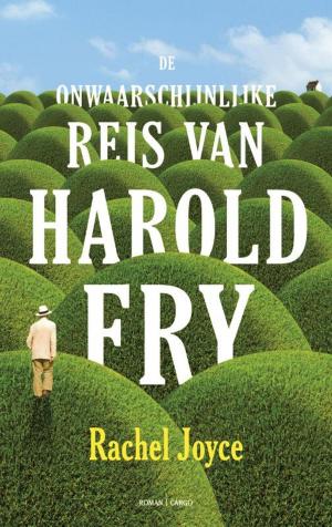 Cover of the book De onwaarschijnlijke reis van Harold Fry by Amos Oz, Fania Oz-Salzberger