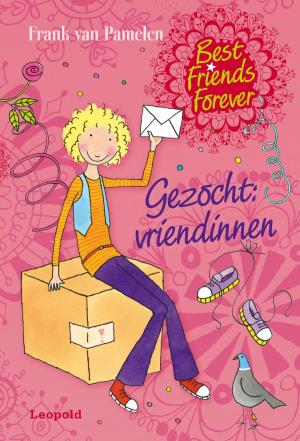 Book cover of Gezocht: vriendinnen