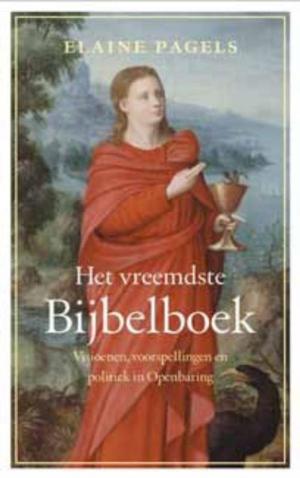 Cover of the book Het vreemdste Bijbelboek by Niki Smit