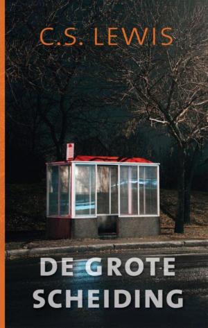 Cover of the book De grote scheiding by Nicholas Vachel Lindsay