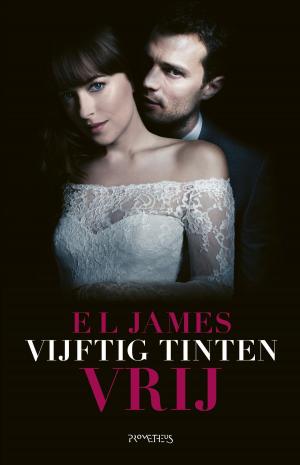 Cover of the book Vijftig tinten vrij by David Siegel Bernstein