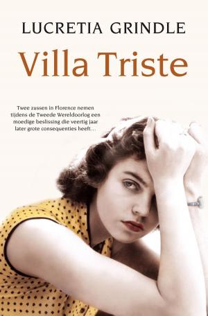 Cover of the book Villa Triste by alex trostanetskiy