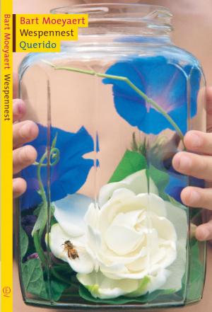 Cover of the book Wespennest by Guido den Aantrekker