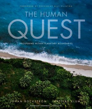 Cover of the book The Human Quest: Prospering within Planetary Boundaries by Jessica Abel