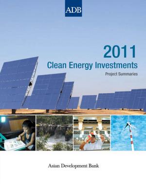 Cover of the book 2011 Clean Energy Investments by David A. Raitzer, Francesco Bosello, Massimo Tavoni, Carlo Orecchia, Giacomo Marangoni, Jindra Nuella G. Samson
