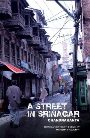 Cover of the book A Street in Srinagar by Angela Lacey, Angela Lacey