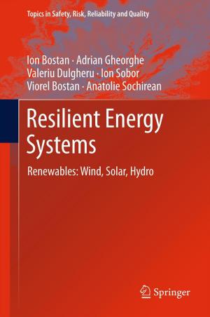 Cover of the book Resilient Energy Systems by Howard Hunt Pattee, Joanna Rączaszek-Leonardi