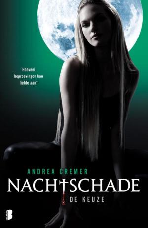 Cover of the book Nachtschade by Jennifer R. Povey