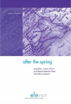 bigCover of the book After the Spring by 