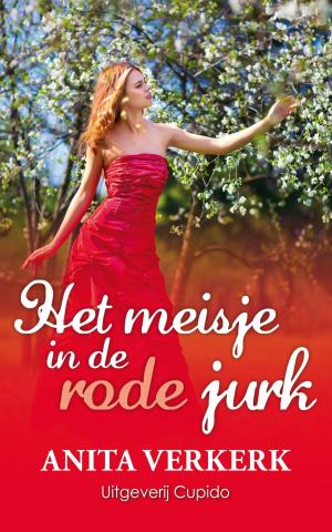 Cover of the book Het meisje in de rode jurk by Wilma Hollander