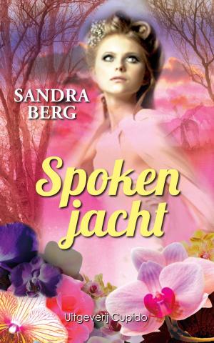 Cover of the book Spokenjacht by Anita Verkerk