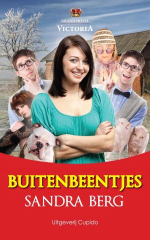 Cover of the book Buitenbeentjes by Wilma Hollander