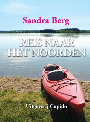 Cover of the book Reis naar het noorden by Lily Orevba
