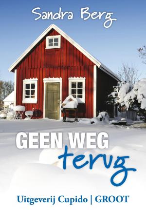 Cover of the book Geen weg terug by Anita Verkerk