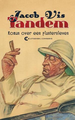 Cover of the book Tandem by Håkan Östlundh