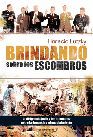 Cover of the book Brindando sobre los escombros by Marcelo Fernandez Bitar