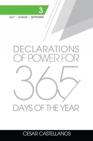 Book cover of Declarations of Power For 365 Days of the Year
