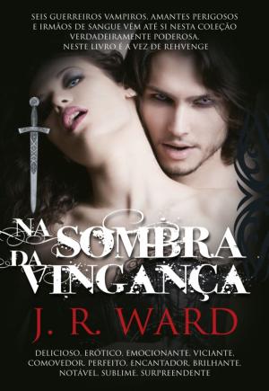 Book cover of Na Sombra da Vingança